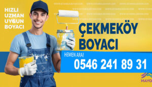 Çekmeköy Boyacı